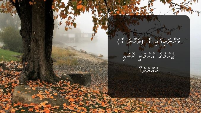 މަހާނައިގައި ގާ (މަހާނަ ގާ) ޖެހުމުގެ ޙުކުމަކީ ކޮބައި ހެއްޔެވެ؟