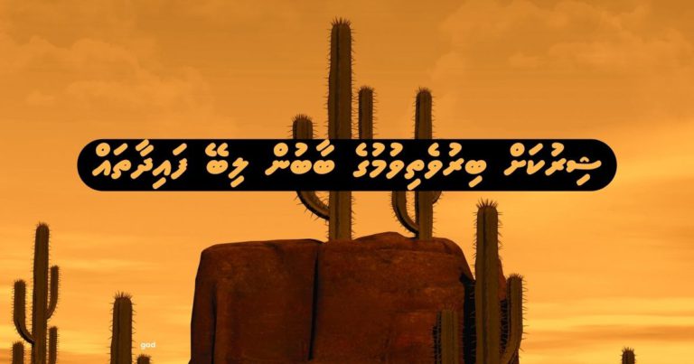 ޝިރުކަށް ބިރުވެތިވުމުގެ ބާބުން ލިބޭ ފައިދާތައް