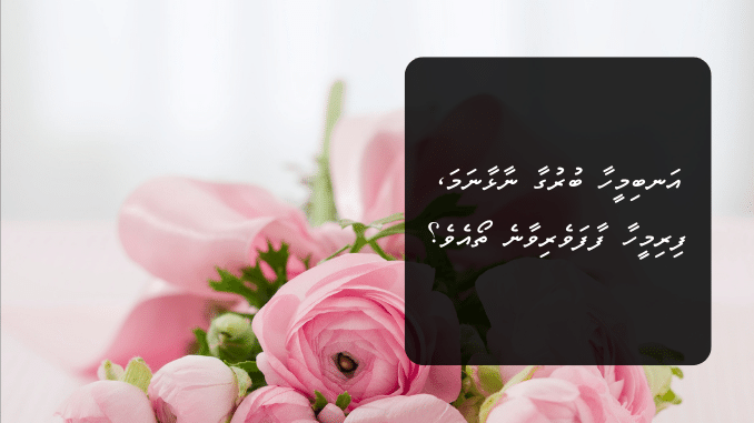 އަނބިމީހާ ބުރުގާ ނާޅާނަމަ، ފިރިމީހާ ފާފަވެރިވާނެ ތޯއެވެ؟