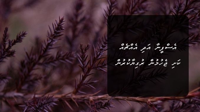 (ދަރުސް) އެސްފީނާ އަދި އެއްޗެއް ކަށި ޖެހުމުން ރުގިޔާކުރުން