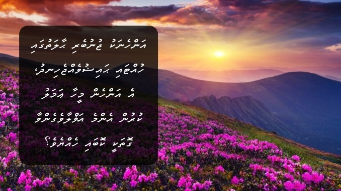 އަންހެނަކު ޖުނުބުވެރި ޙާލަތުގައި ހުއްޓައި ޙައިޟުވެއްޖެހިނދު، އެ އަންހެން މީހާ ޢަމަލު ކުރުން އެންމެ އަޥްލާވެގެންވާ ގޮތަކީ ކޮބައި ހެއްޔެވެ؟