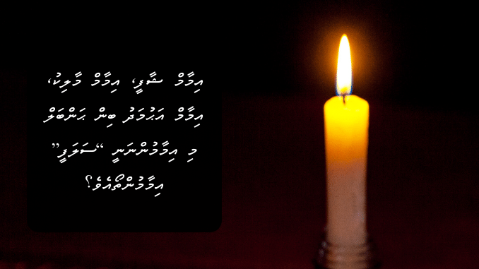 އިމާމް ޝާފީ، އިމާމް މާލިކު، އިމާމް އަޙުމަދު ބިން ޙަންބަލް މި އިމާމުންނަނީ “ސަލަފީ” މަޒުޙަބުގެ އިމާމުންތޯއެވެ؟