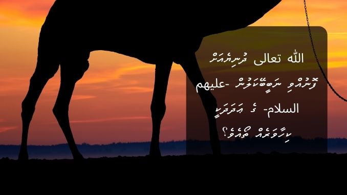 الله تعالى ދުނިޔެއަށް ފޮނުއްވި ނަބީބޭކަލުން -عليهم السلام- ގެ ޢަދަދަކީ ކިހާވަރެއް ތޯއެވެ؟