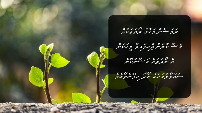 ރަމަޟާން މަހުގެ ރޯދަތަކެއް ޤަޟާ ކުރަން ޖެހިފައިވާ މީހަކަށް އެ ރޯދަތައް ޤަޟާނުކޮށް ޝައްވާލުމަހުގެ ރޯދަ ހިފޭނެތޯއެވެ.