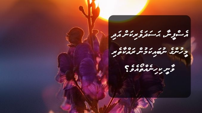 އެސްފީނާ، ޙަސަދަވެރިކަން އަދި މީހުންގެ ނުބައިކަމުން ރައްކާތެރި ވާނީ ކިހިނެއްތޯއެވެ؟