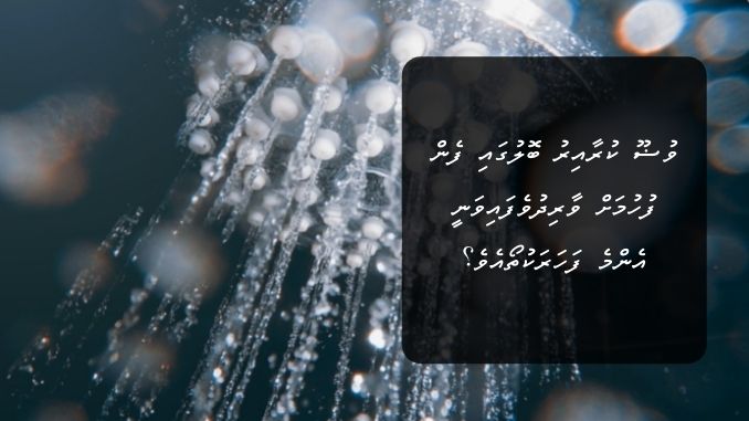 ވުޟޫ ކުރާއިރު ބޮލުގައި ފެން ފުހުމަށް ވާރިދުވެފައިވަނީ އެންމެ ފަހަރަކުތޯއެވެ؟