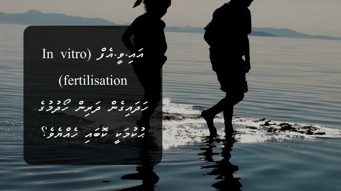 އައި.ވީ.އެފް (In vitro fertilisation) ހަދައިގެން ދަރިން ހޯދުމުގެ ޙުކުމަކީ ކޮބައި ހެއްޔެވެ؟