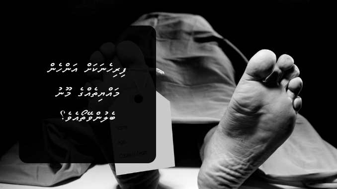 ފިރިހެނަކަށް އަންހެން މައްޔިތެއްގެ މޫނު ބެލުންވޭތޯއެވެ؟