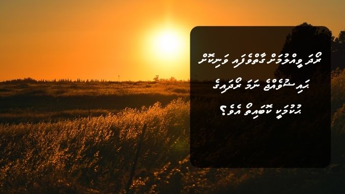 ރޯދަ ވީއްލުމަށް ގާތްވެފައި ވަނިކޮށް ޙައިޟުވެއްޖެ ނަމަ ރޯދައިގެ ޙުކުމަކީ ކޮބައިތޯ އެވެ؟