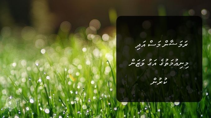 ރަމަޟާން މަސް އަދި މި ނިޢުމަތުގެ އަގު ވަޒަން ކުރުން