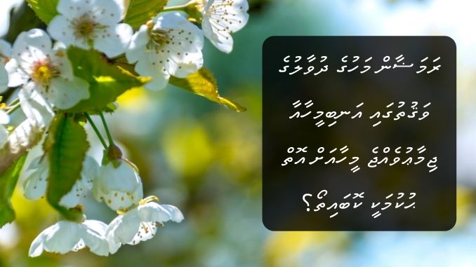 ރަމަޟާން މަހުގެ ދުވާލުގެ ވަޤުތުގައި އަނބިމީހާއާ ޖިމާޢުވެއްޖެ މީހާއަށް އޮތް ޙުކުމަކީ ކޮބައިތޯ؟