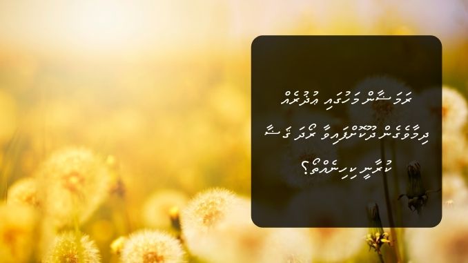 ރަމަޟާން މަހުގައި ޢުޛުރެއް ދިމާވެގެން ދޫކޮށްފައިވާ ރޯދަ ޤަޟާ ކުރާނީ ކިހިނެއްތޯ؟