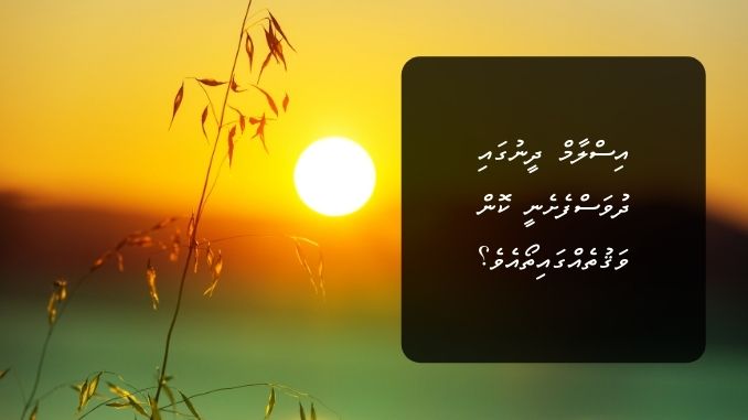 އިސްލާމް ދީނުގައި ދުވަސްފެށެނީ ކޮން ވަޤުތެއްގައިތޯއެވެ؟