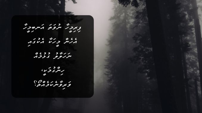 ފިރިމީހާ ނުވަތަ އަނބިމީހާ އެހެން މީހަކާ އެކުގައި ނަހަލާލު ގުޅުމެއް ހިންގުމަކީ، ވަރިވާނެކަމެއްތޯ؟