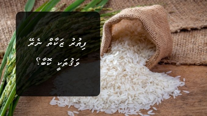 ފިޠުރު ޒަކާތް ނެރޭ ވަޤުތަކީ ކޮބާ؟