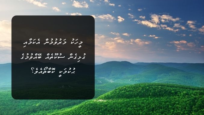 މީހަކު މަރުވުމުން އެކަމާއި ގުޅިގެން ސުކޫތެއް ބޭއްވުމުގެ ޙުކުމަކީ ކޮބާތޯއެވެ؟