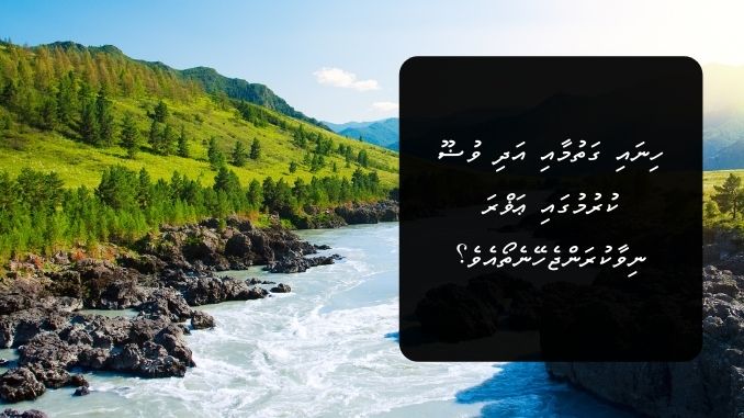 ހިނައި ގަތުމާއި އަދި ވުޟޫ ކުރުމުގައި ޢަޥްރަ ނިވާކުރަންޖެހޭނެތޯއެވެ؟