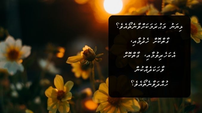 ޅިޔަނު މަޙުރަމަކަށްވާނެތޯއެވެ؟ ގާތްކޮށް ހެދުމާއި، އެކަހެރިވުމާއި، ގާތްކޮށް ވާހަކަދެއްކުން ހުއްދަވާނެތޯއެވެ؟