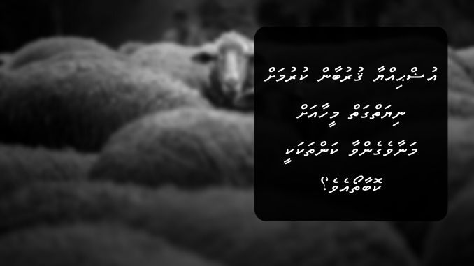 އުޟްޙިއްޔާ ޤުރުބާން ކުރުމަށް ނިޔަތްގަތް މީހާއަށް މަނާވެގެންވާ ކަންތަކަކީ ކޮބާތޯއެވެ؟