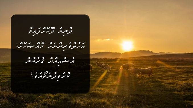 ދުނިޔެ ދޫކޮށްފައިވާ އަހުލުވެރިންނަށް ޚާއްޞަކޮށް، އުޟްޙިއްޔާ ޤުރުބާން ކުރެވިދާނެތޯއެވެ؟