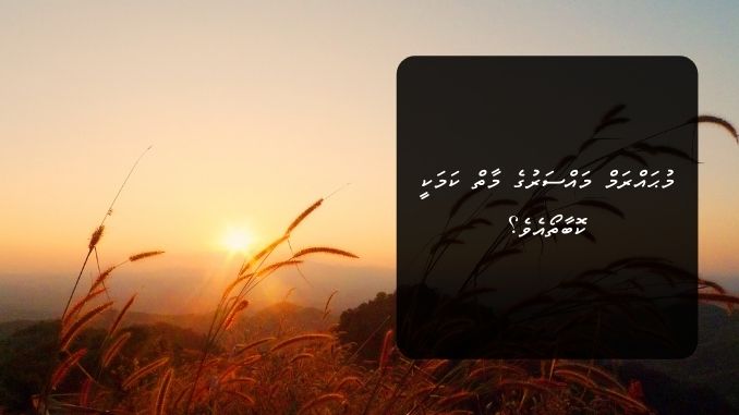 މުޙައްރަމް މައްސަރުގެ މާތް ކަމަކީ ކޮބާތޯއެވެ؟