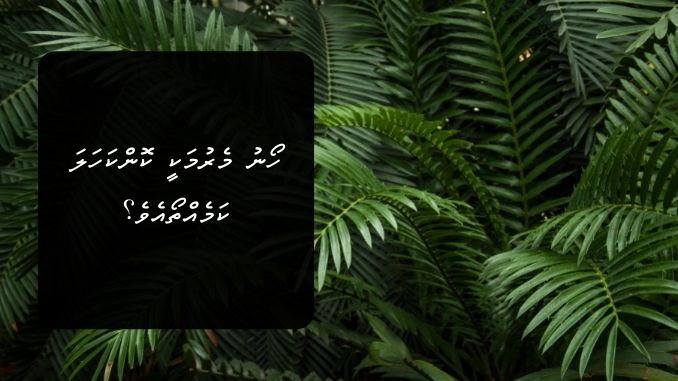 ހޯނު މެރުމަކީ ކޮންކަހަލަ ކަމެއްތޯއެވެ؟