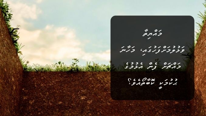 މައްޔިތާ ވަޅުލުމަށްފަހުގައި، މަހާނަ މައްޗަށް ފެން އެޅުމުގެ ޙުކުމަކީ ކޮބާތޯއެވެ؟