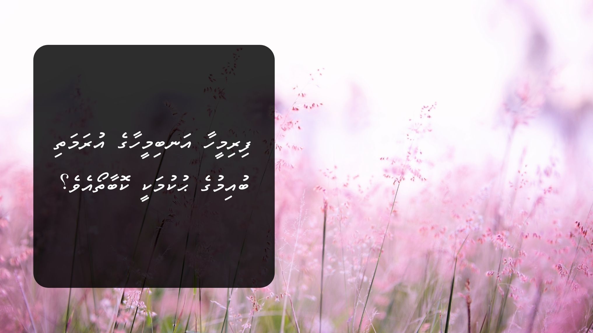 anbimeehaa firimeehaa