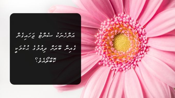 އަންހެނަކު ސެންޓު ޖަހައިގެން ގެއިން ބޭރަށް ދިއުމުގެ ޙުކުމަކީ ކޮބާތޯއެވެ؟