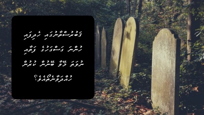 ޤަބުރުސްތާނުގައި ހެދިފައި ހުންނަ ގަސްގަހުގެ ފަތާއި ނުވަތަ މޭވާ ބޭނުން ކުރުން ހުއްދަވާނެތޯއެވެ؟