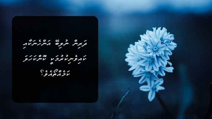 ދަރިން ނުލިބޭ އަންހެނަކާއި ކައިވެނިކުރުމަކީ ކޮންކަހަލަ ކަމެއްތޯއެވެ؟