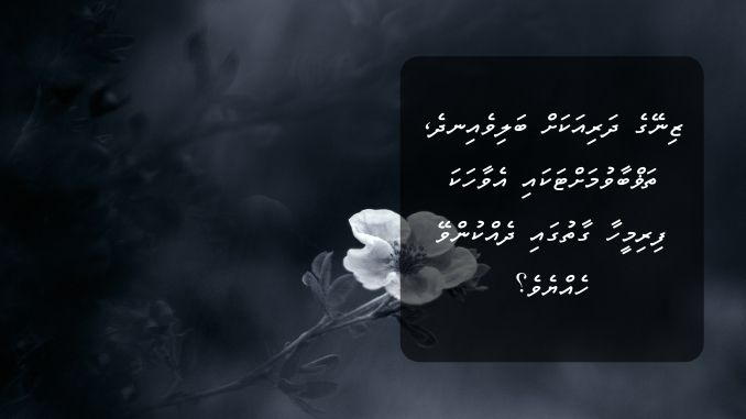 ޒިނޭގެ ދަރިއަކަށް ބަލިވެއިނދެ، ތަޥްބާވުމަށްޓަކައި އެވާހަކަ ފިރިމީހާ ގާތުގައި ދެއްކުންވޭ ހެއްޔެވެ؟