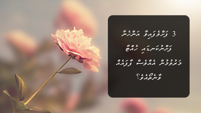 3 ފަށްވެފައިވާ އަންހެނާ ފަށްނުކަނޑައި ހުއްޓާ މަރުވުމުން އެއްވެސް ފާފައެއް ވާނެތޯއެވެ؟