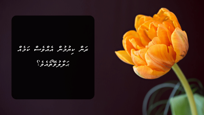 ރަން ކިޔުމުން އެއްވެސް ކަމެއް ޙަލާލުވޭތޯއެވެ؟