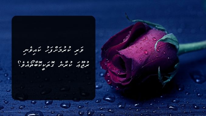 ވަރި ކުރުމަށްފަހު ކައިވެނި ރުޖޫޢަ ކުރާނެ ގޮތަކީކޮބާތޯއެވެ؟