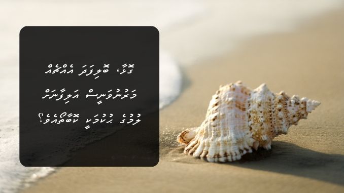 ގޮޅާ، ބޮލިފަދަ އެއްޗެއް މަރުނުވަނީސް އަލިފާނަށް ލުމުގެ ޙުކުމަކީ ކޮބާތޯއެވެ؟