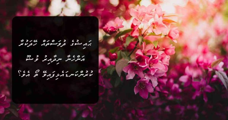 ޙައިޟުގެ ދުވަސްތައް ހޭދަކުރާ އަންހެނާ ނިދާއިރު ވުޟޫ ކުރުންކަނޑައެޅިފައިވޭ ތޯ އެވެ؟