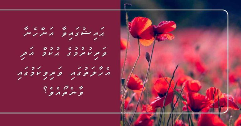 ޙައިޟުގައިވާ އަންހެނާ ވަރިކުރުމުގެ ޙުކުމް އަދި އެހާލަތުގައި ވަރިވިކަމުގައި ވާނެތޯއެވެ؟