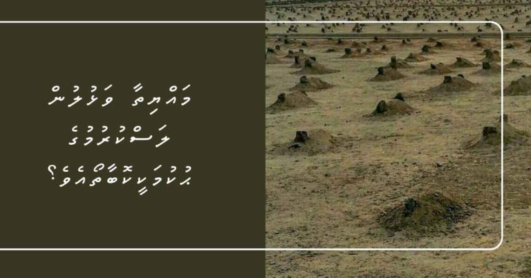 މައްޔިތާ ވަޅުލުން ލަސްކުރުމުގެ ޙުކުމަކީކޮބާތޯއެވެ؟