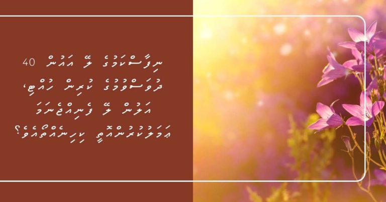 ނިފާސްކަމުގެ ލޭ އައުން 40 ދުވަސްވުމުގެ ކުރިން ހުއްޓި، އަލުން ލޭ ފެނިއްޖެނަމަ ޢަމަލުކުރުންއޮތީ ކިހިނެއްތޯއެވެ؟