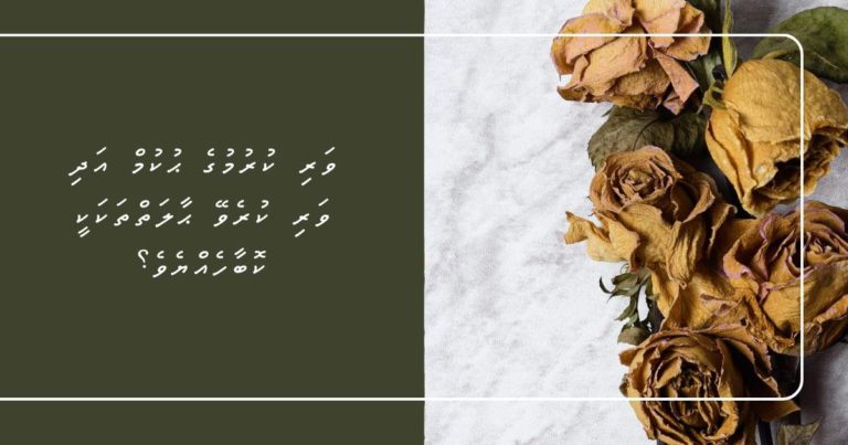 ވަރި ކުރުމުގެ ޙުކުމް އަދި ވަރި ކުރެވޭ ޙާލަތްތަކަކީ ކޮބާހެއްޔެވެ؟