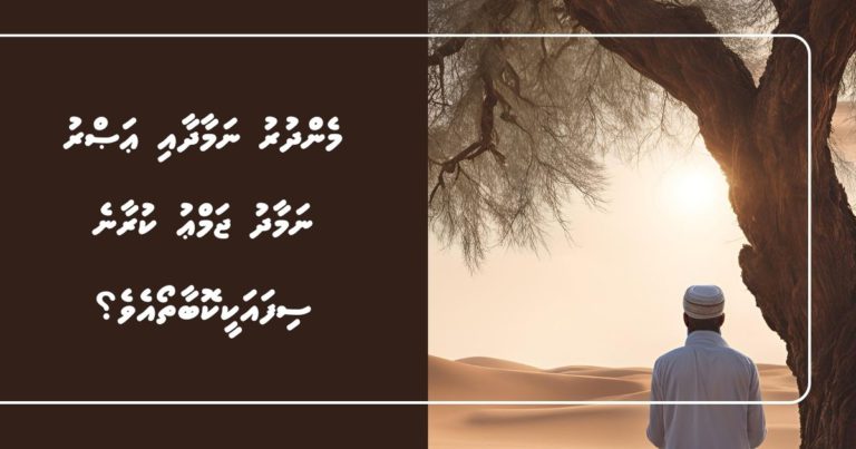 މެންދުރު ނަމާދާއި ޢަޞްރު ނަމާދު ޖަމްޢު ކުރާނެ ސިފައަކީކޮބާތޯއެވެ؟